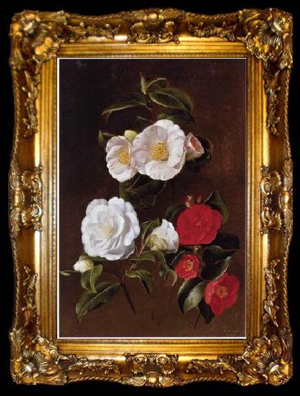 framed  unknow artist Floral, beautiful classical still life of flowers 028, ta009-2